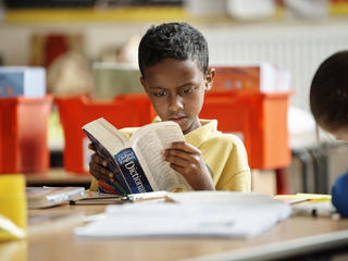 Primary school boy reads the dictionary