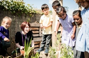 Teacher and primary school pupils planting and examining plants together in a school garden.